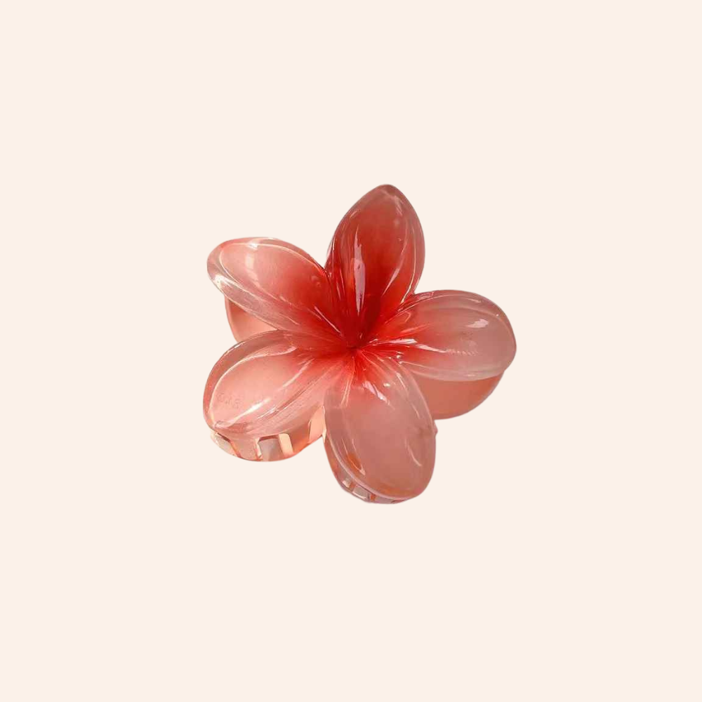 Gradient Flower Hair Clip Set