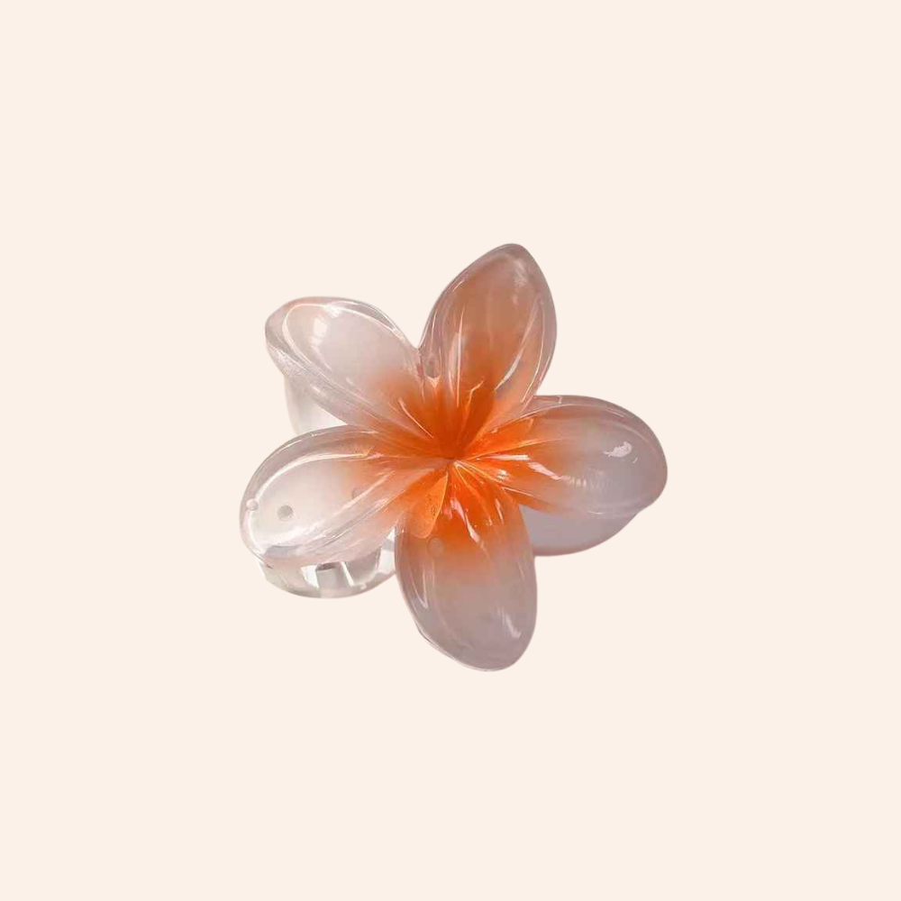 Gradient Flower Hair Clip Set